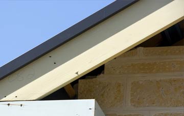 Audley End fascia repairs