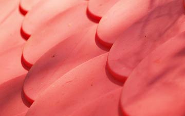 Audley End plastic roof costs
