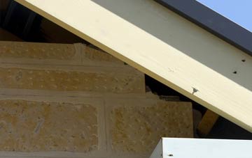 soffit repair Audley End