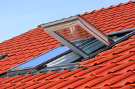 Audley End roof window